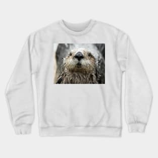 Sea Otter Face Crewneck Sweatshirt